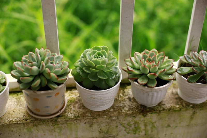 Balcony Beauty Revamp