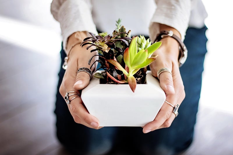 Office Oasis Makeover