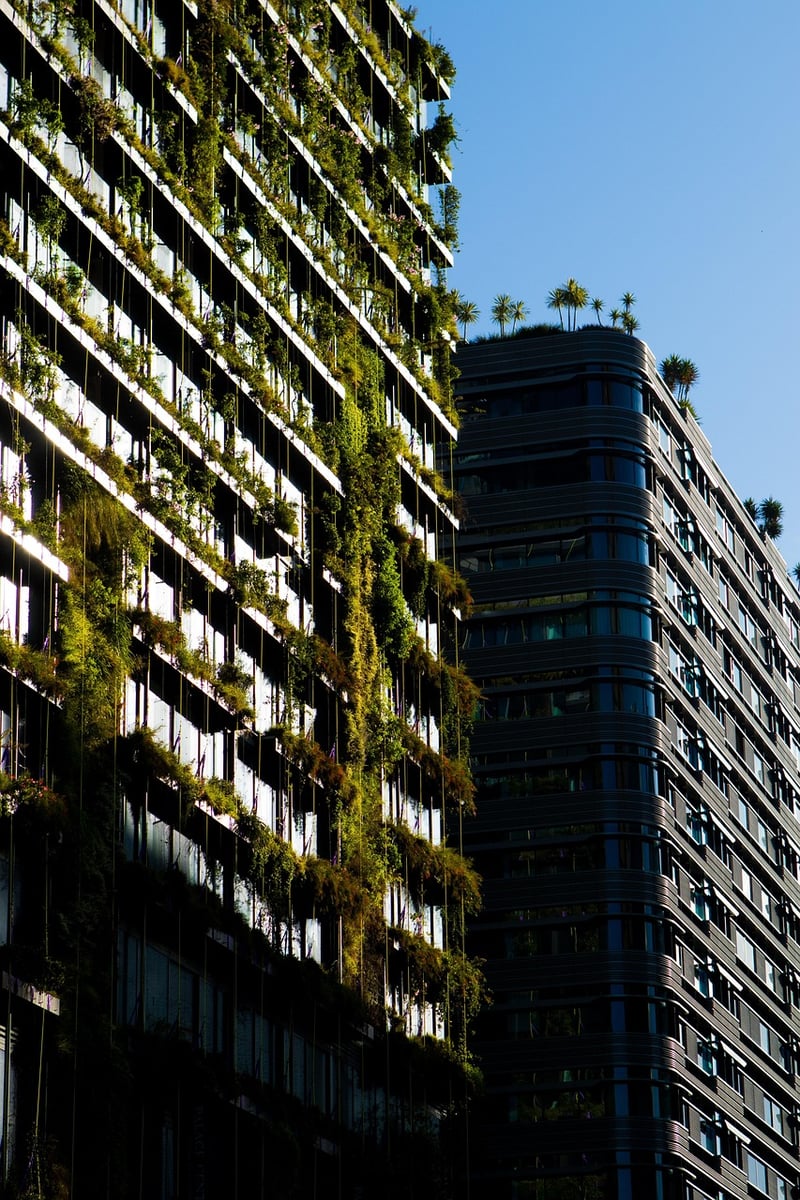 Urban Oasis Transformation
